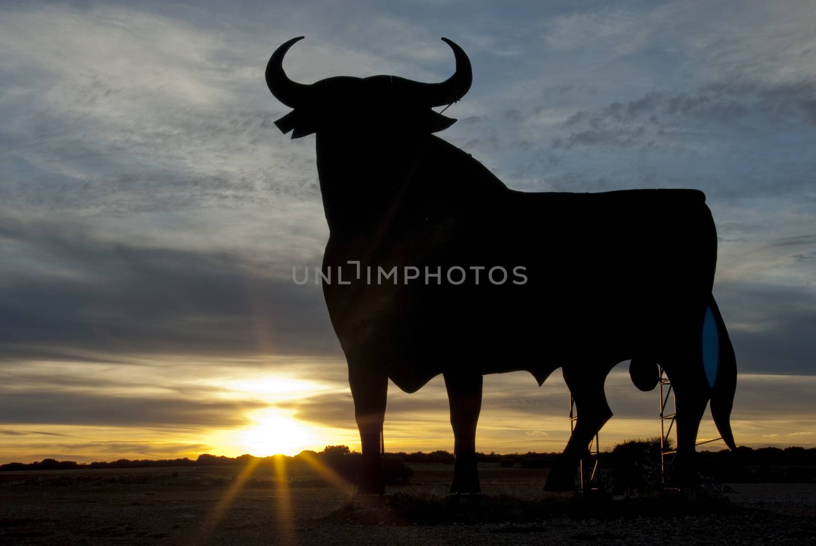 Osborne bull at sunset, Spain by jalonsohu@gmail.com