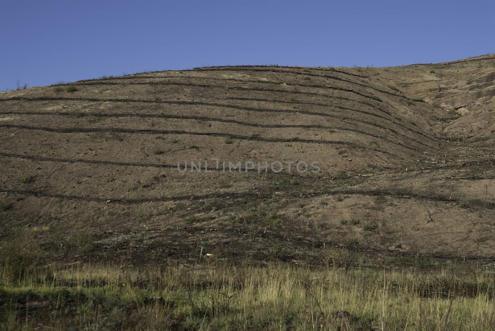 Reforestation terraces after the fire, Guadalajara by jalonsohu@gmail.com