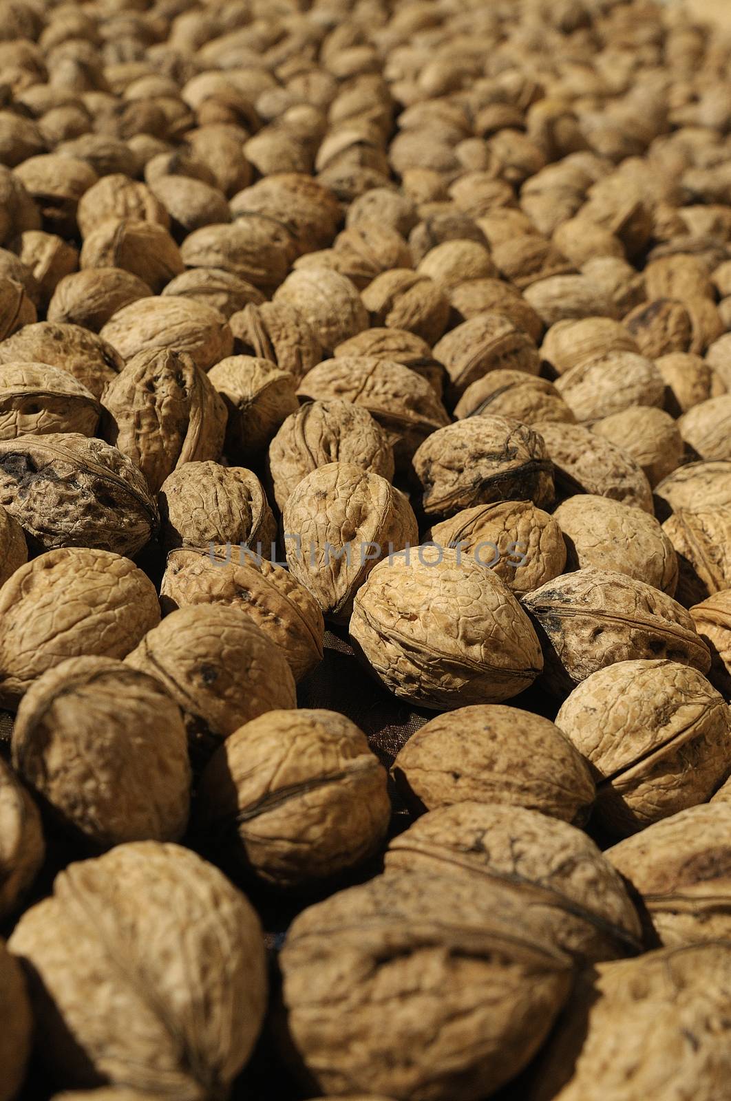 Group of nuts, nuts, vegetable oil by jalonsohu@gmail.com