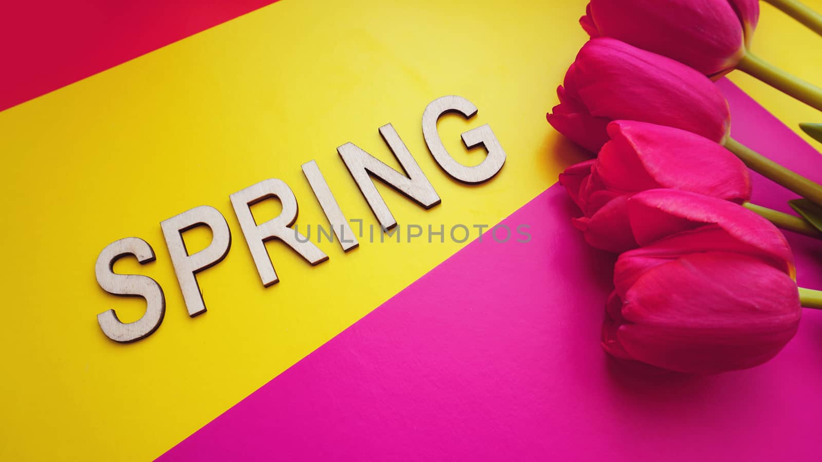 Spring concept. Bouquet of tulips on colorful background. Mothers Text Spring. by natali_brill