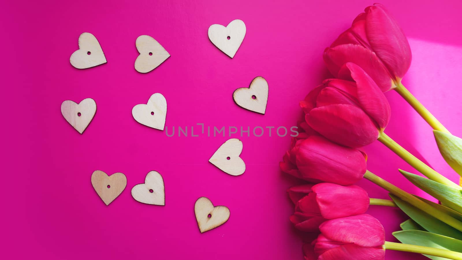 Pink tulips with hearts on the pink background. Flat lay, top view. Valentines background. Spring concept.