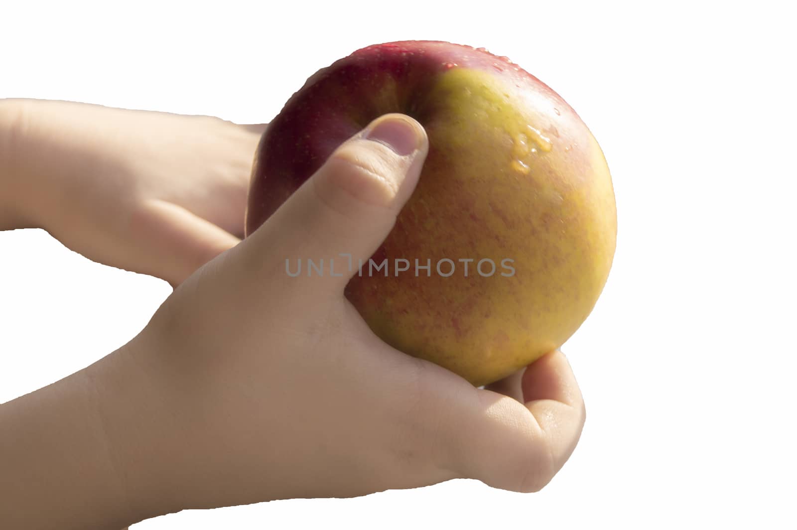 Clipping, baby holding a ripe Apple, close-up, sunlight, healthy food concept for kids.