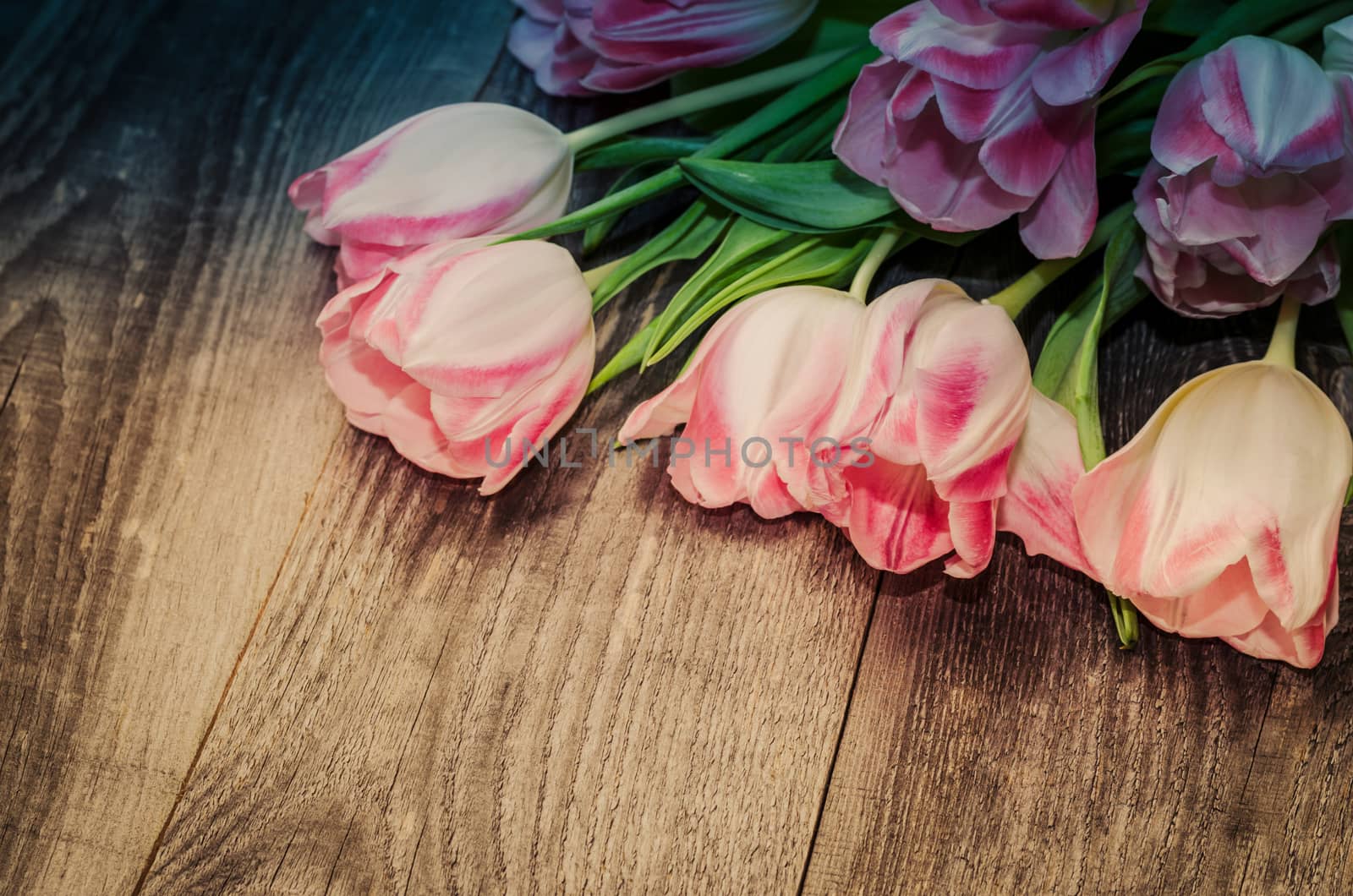 Bouquet of pink tulips on the background of old wooden boards with a place for the inscription, toned.