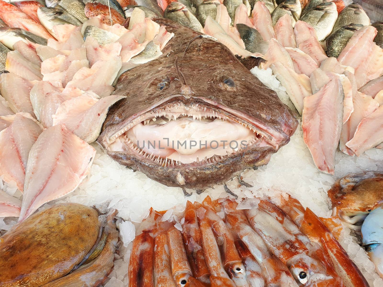 Fresh fish at the fish market stall, in the center a large monkfish.