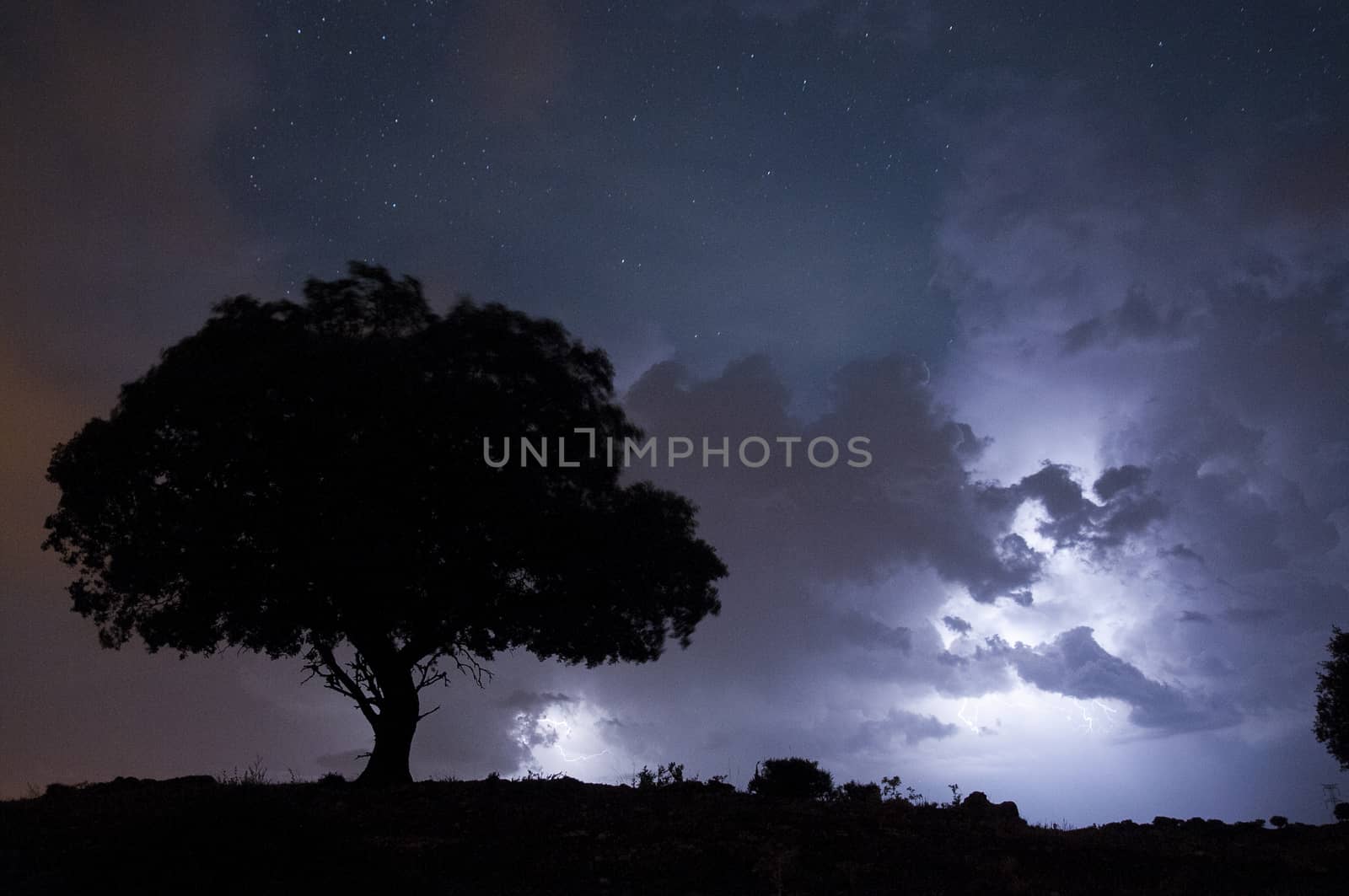 Night landscape, oak, stars, clouds, silhouette by jalonsohu@gmail.com