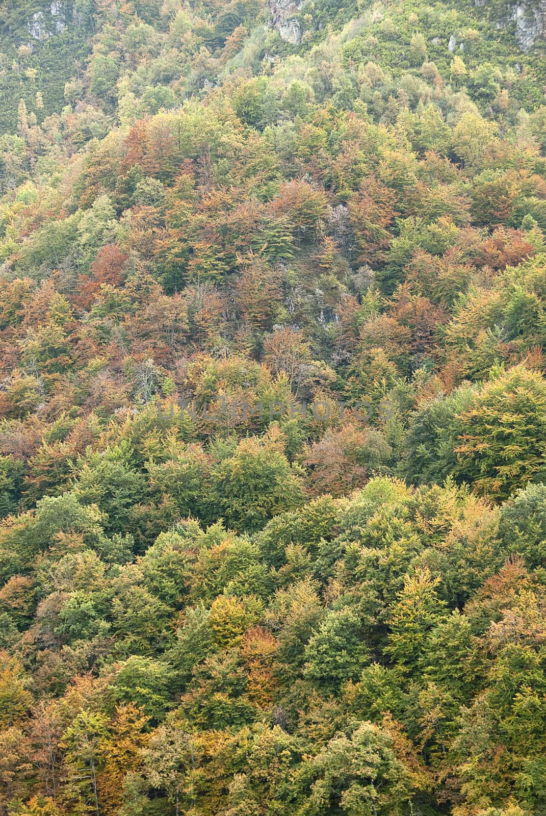 Autumn landscape, natural park Ubiñas table, fog, Asturias, Spain