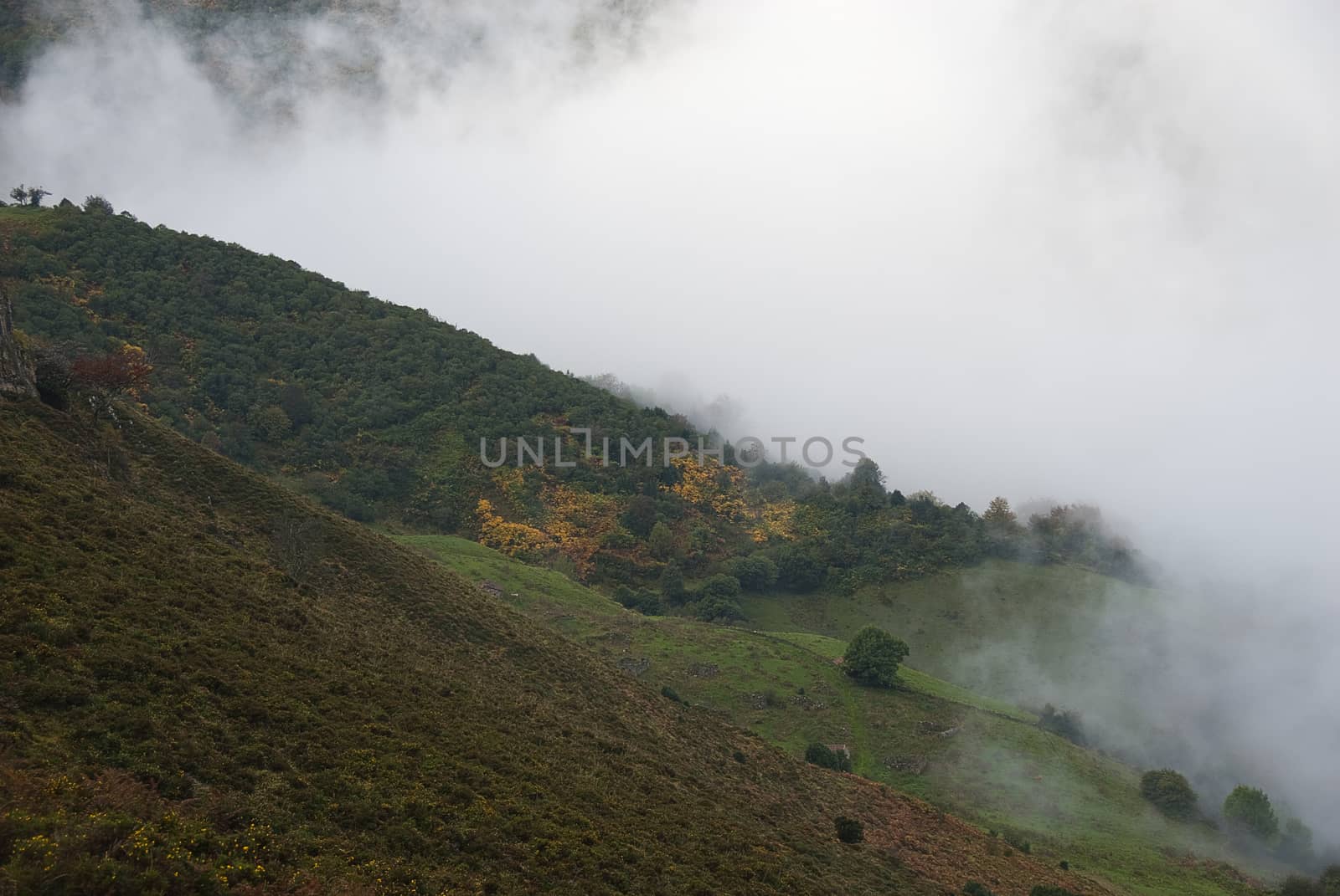 Autumn landscape, natural park Ubiñas table, fog, Asturias, Spain