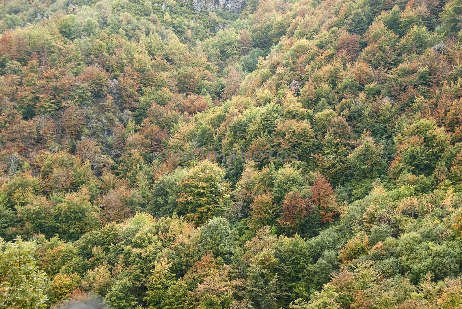 Autumn landscape, natural park Ubiñas table, fog, Asturias, Spa by jalonsohu@gmail.com