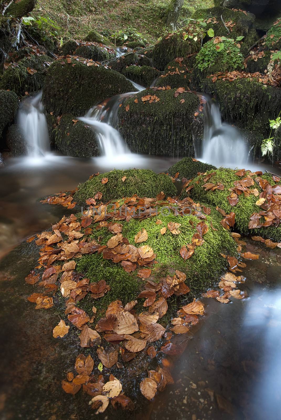 Waterfall with leaves, Moss, Autumn colors  by jalonsohu@gmail.com