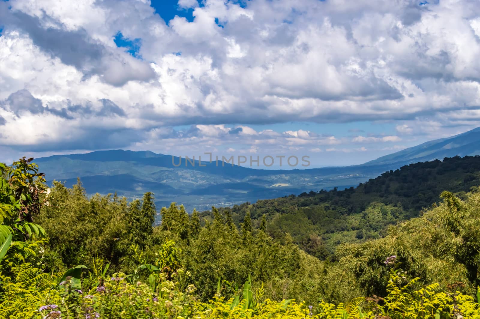 View of the forest and the mountains of Aberdare Park in central Kenya