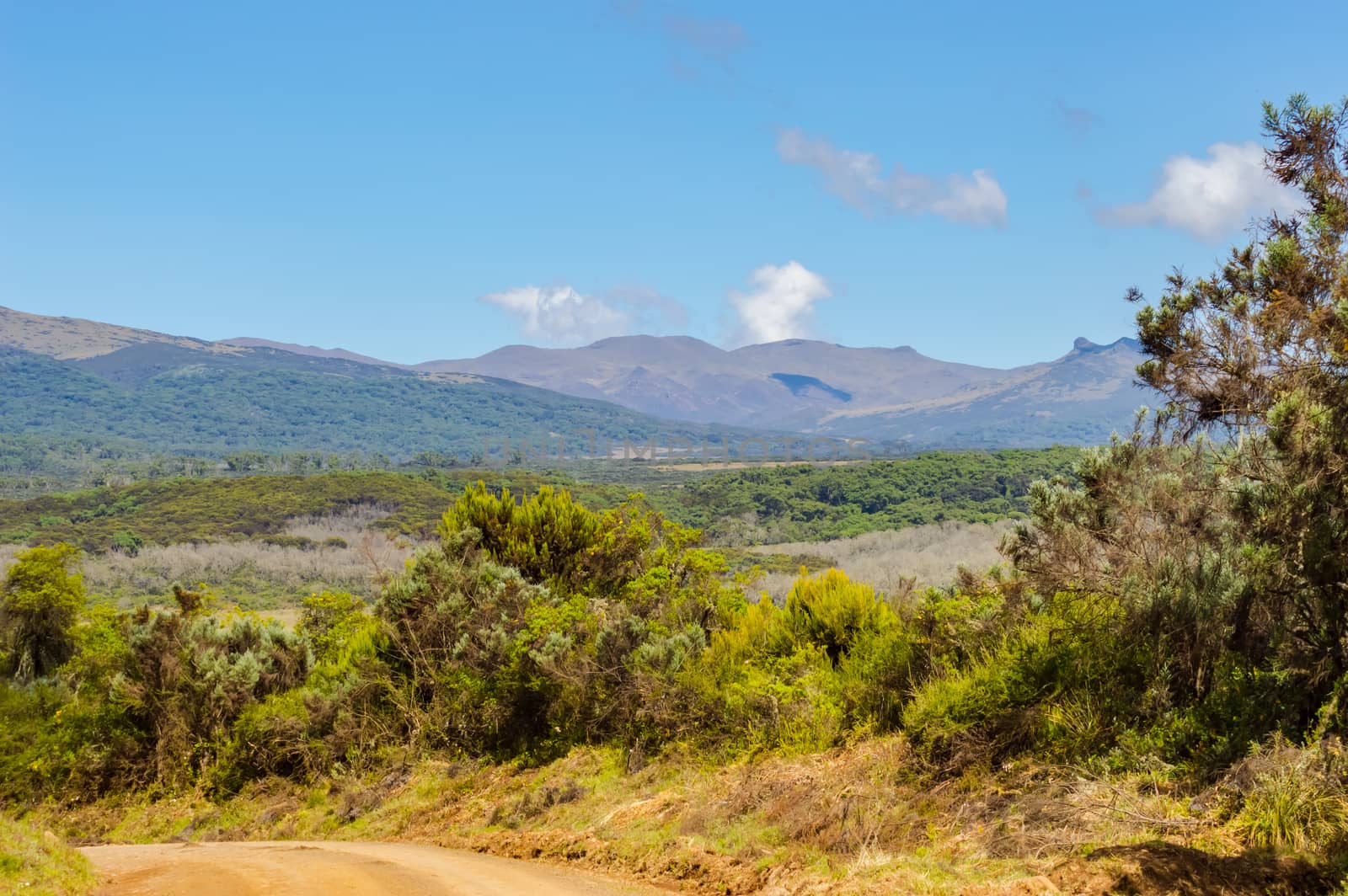 View of the forest and the mountains of Aberdare Park in central Kenya