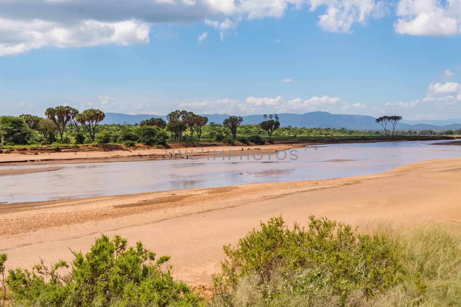 View of the Ewaso Ng'iro River in the savannah of Samburu Park in central Kenya