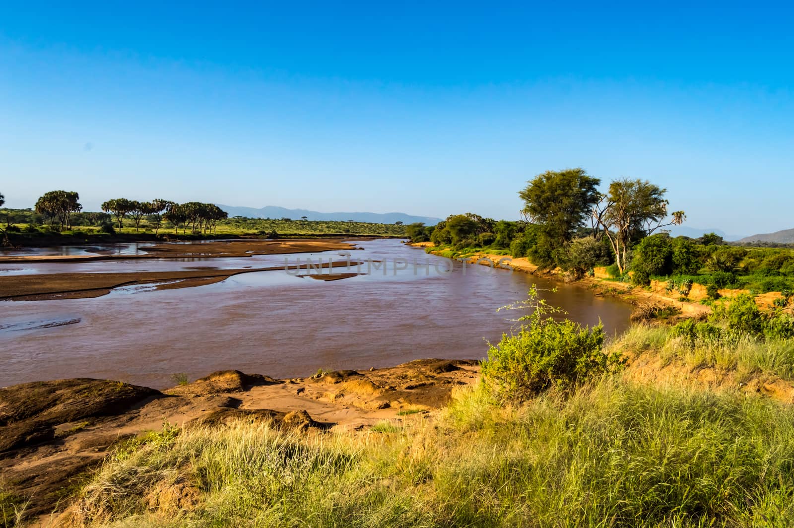 View of the Ewaso Ng'iro River in the savannah of Samburu Park  by Philou1000