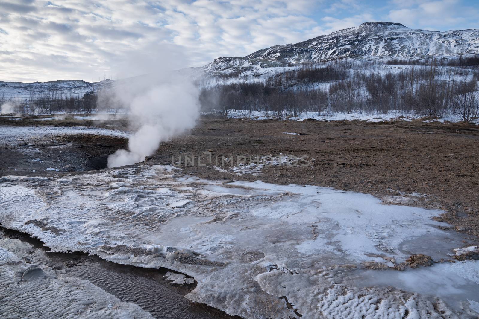 Geothermal area Haukadalur, Iceland, Europe