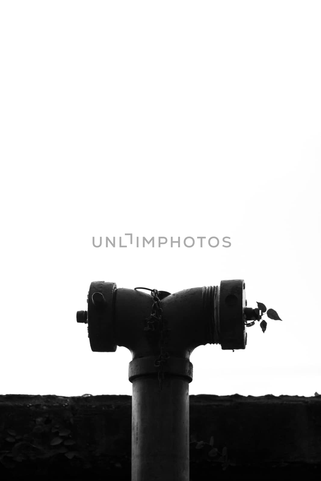 Fire Hydrant in black and white color at public park.