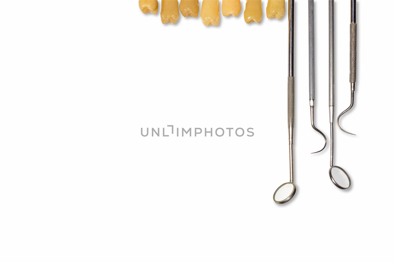 Teeth model and dentist equipment on space white background.