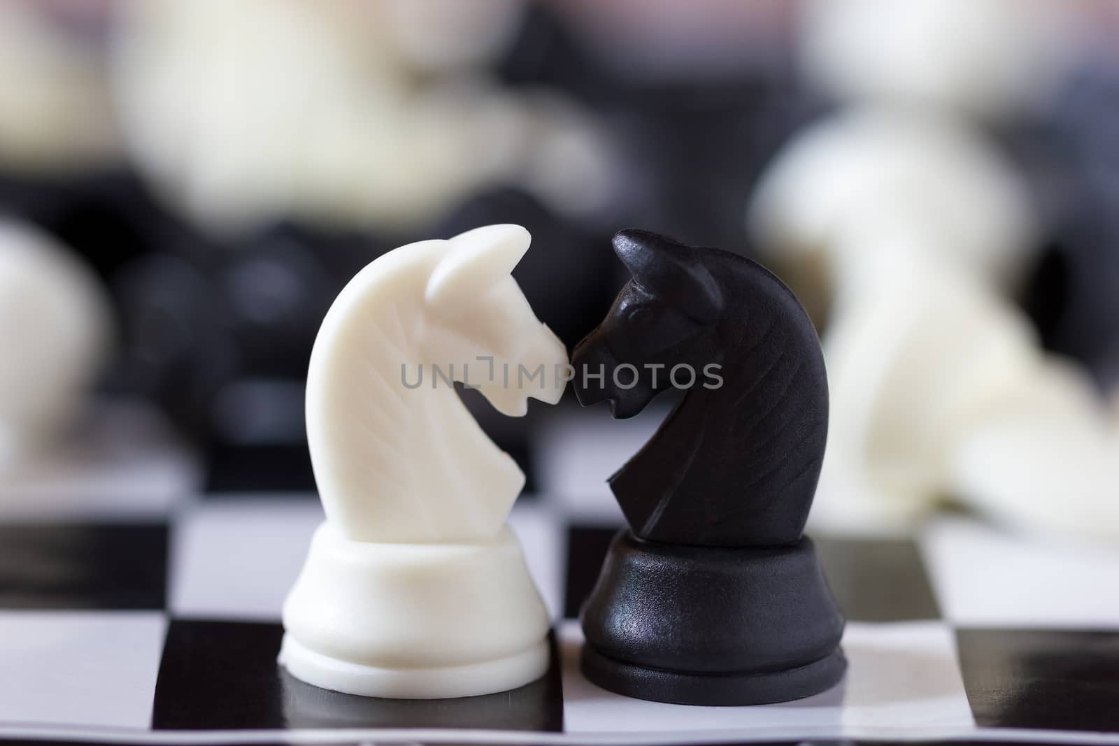 Horses of black chess and white parties face each other. The concept of unlimited friendship and The concept of friendship on the battlefield.