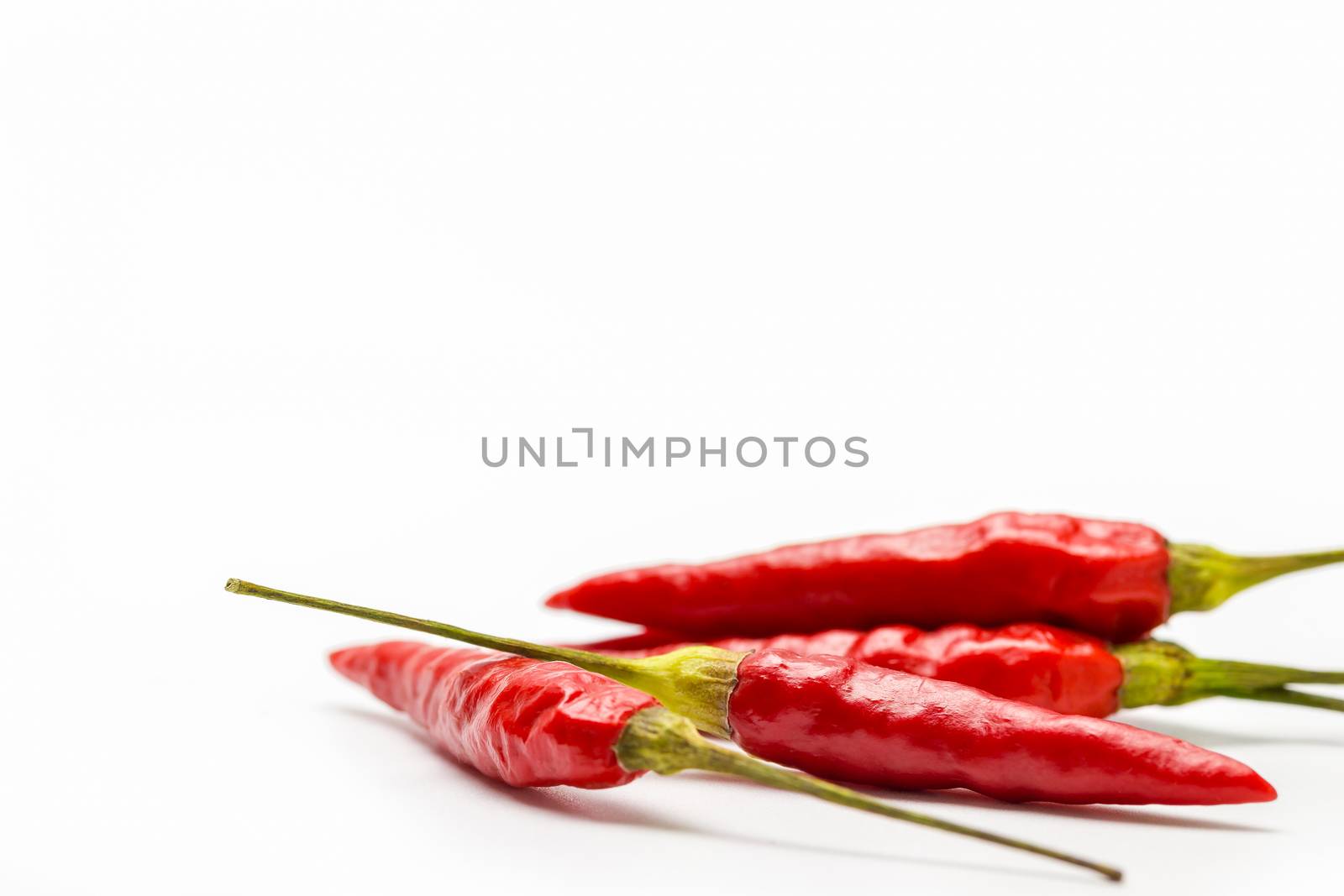 Red chilli are laid on white background.