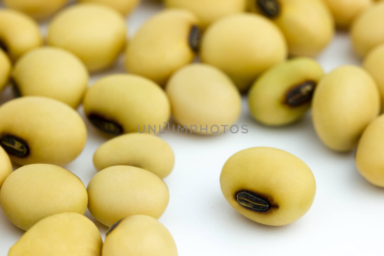 Soy beans are laid on a white background. by SaitanSainam