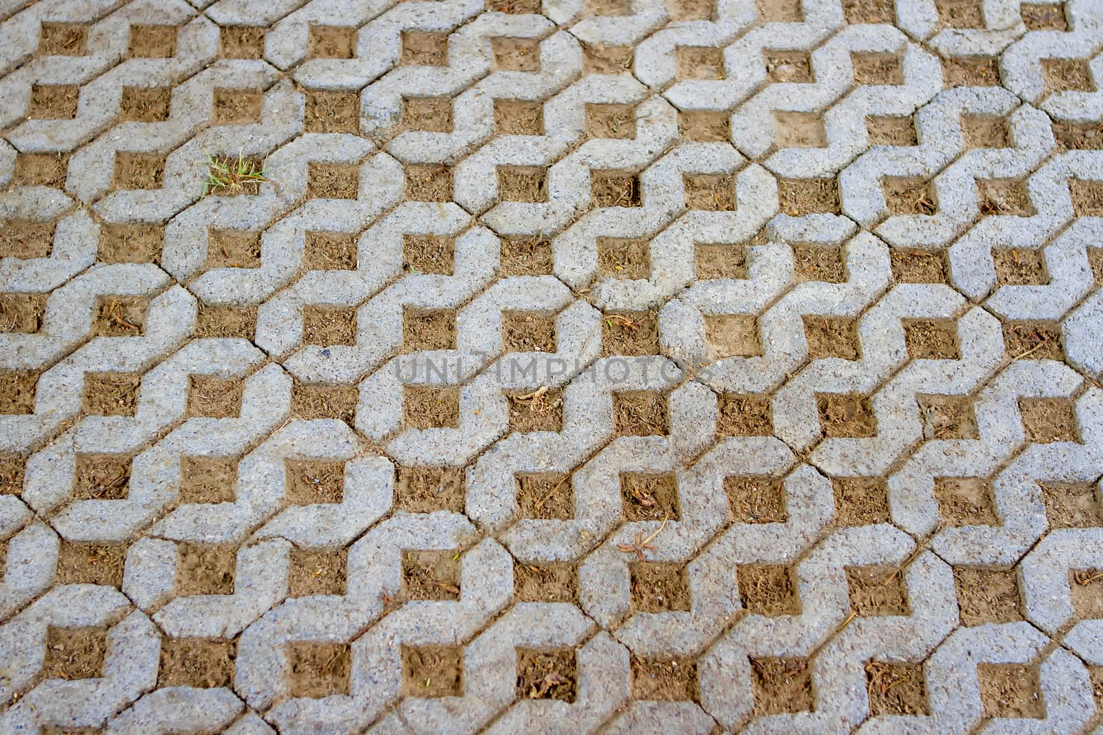 Brick floor with holes and grass