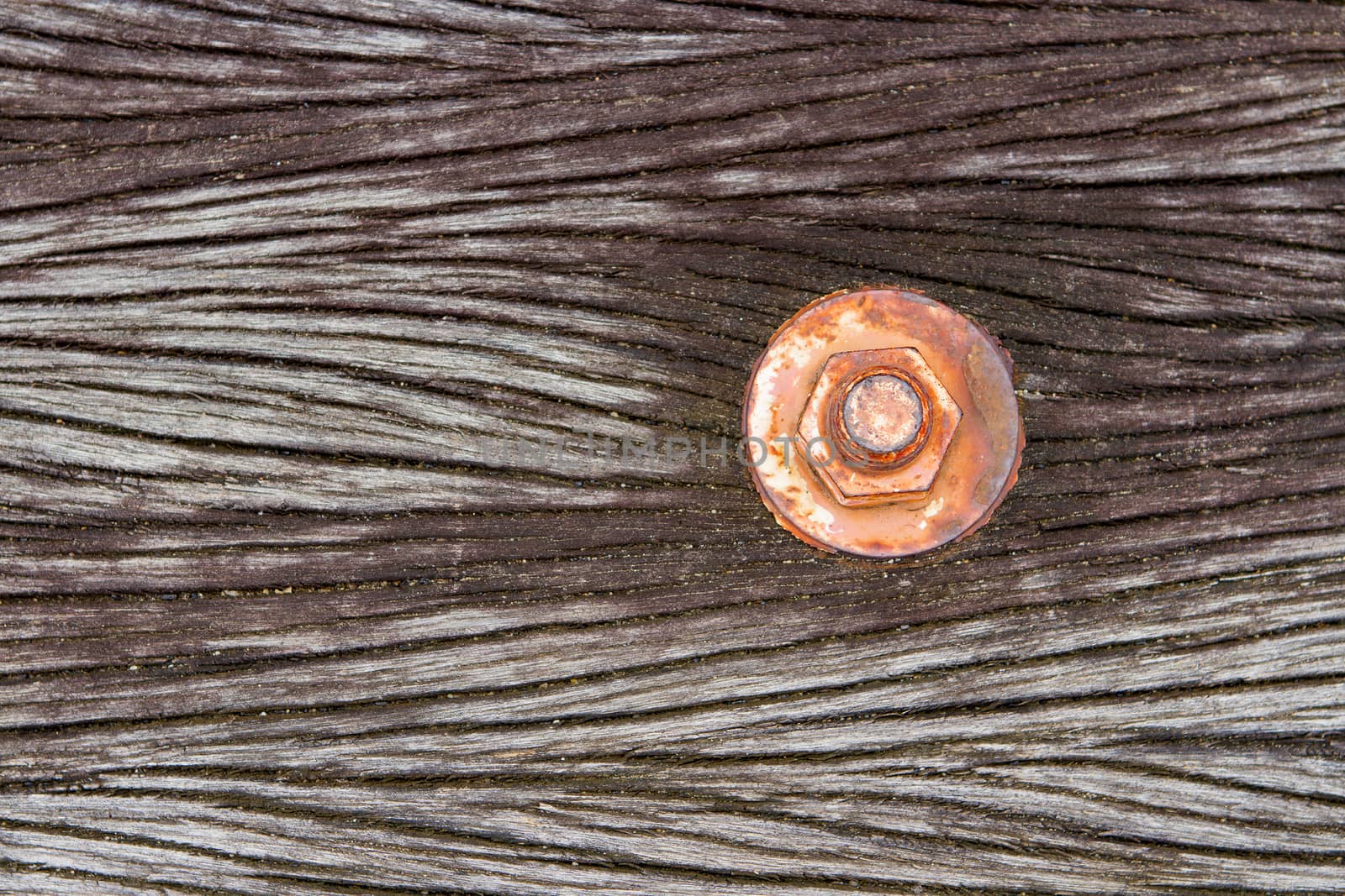 The nut is rust on old wood floor. by TakerWalker