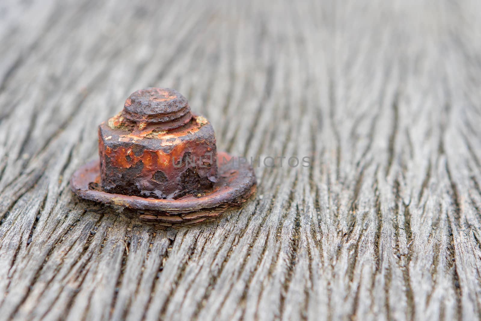 The nut is rust on old wood floor. by TakerWalker