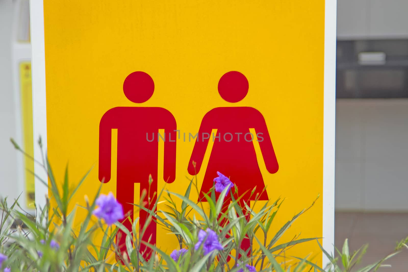 Male red-female toilet symbol, yellow background with purple flowers