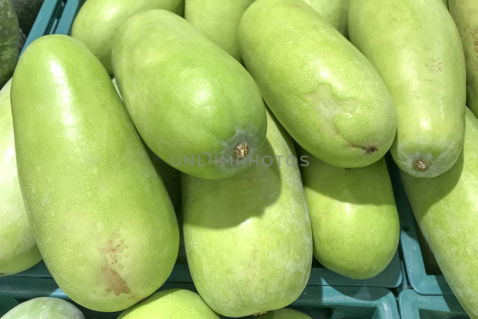 Many winter melon green for cooking