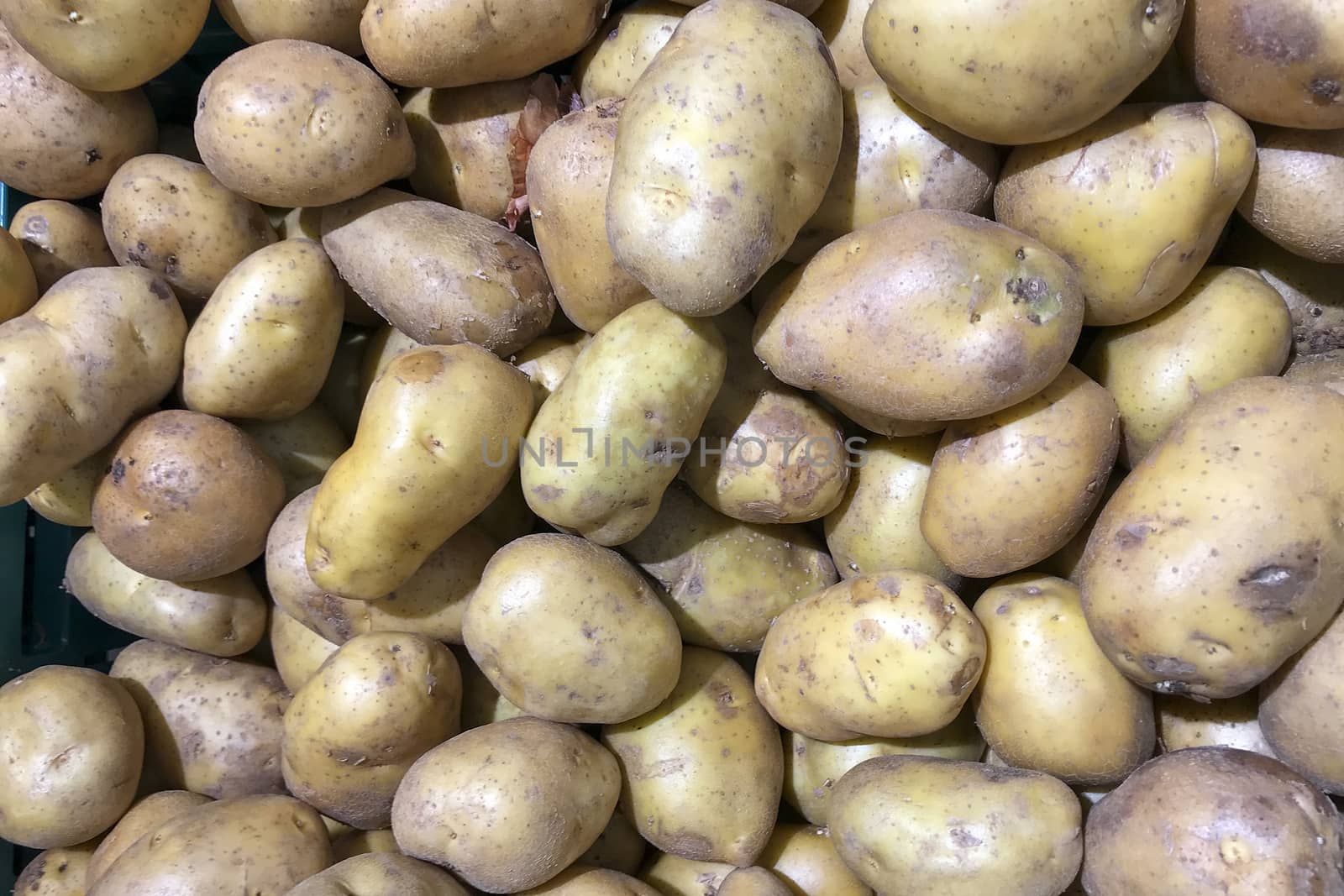 Many potatoes many sizes for cooking