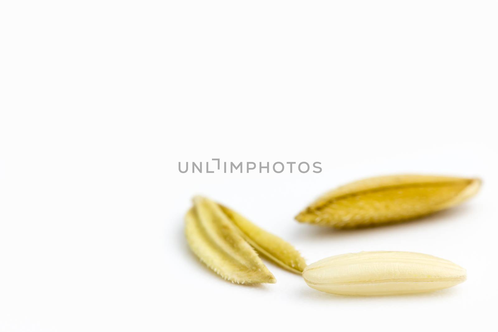 Closeup yellow rice seed on a white background.