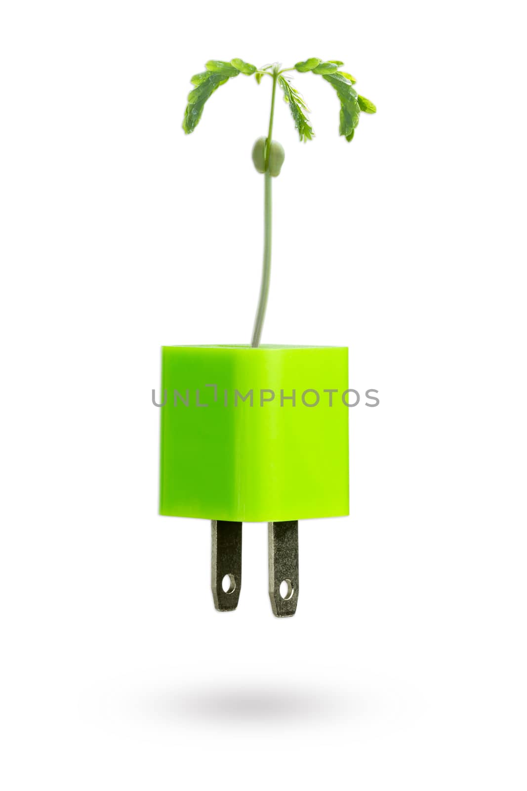 The baby tamarind grows out of the green usb power adapter charger on white background. The concept of global warming and green energy.