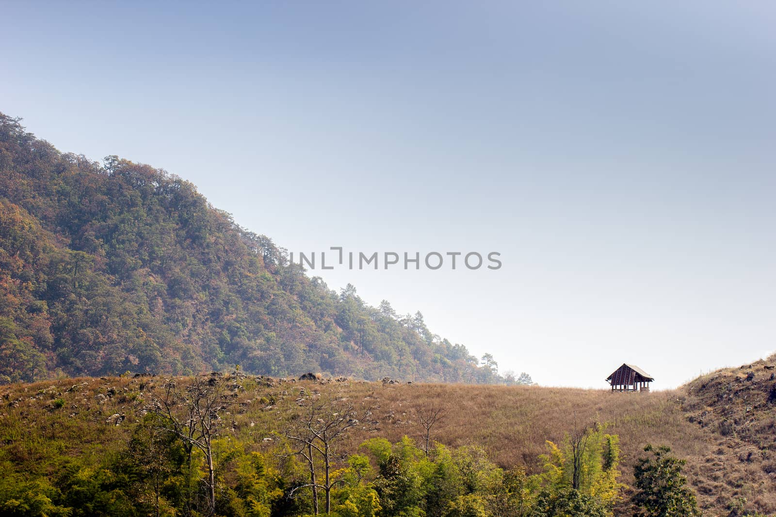 The hut among the mountains is surrounded by forests in summer. The concept of seclusion is truly blissful. Copy spaces for text.