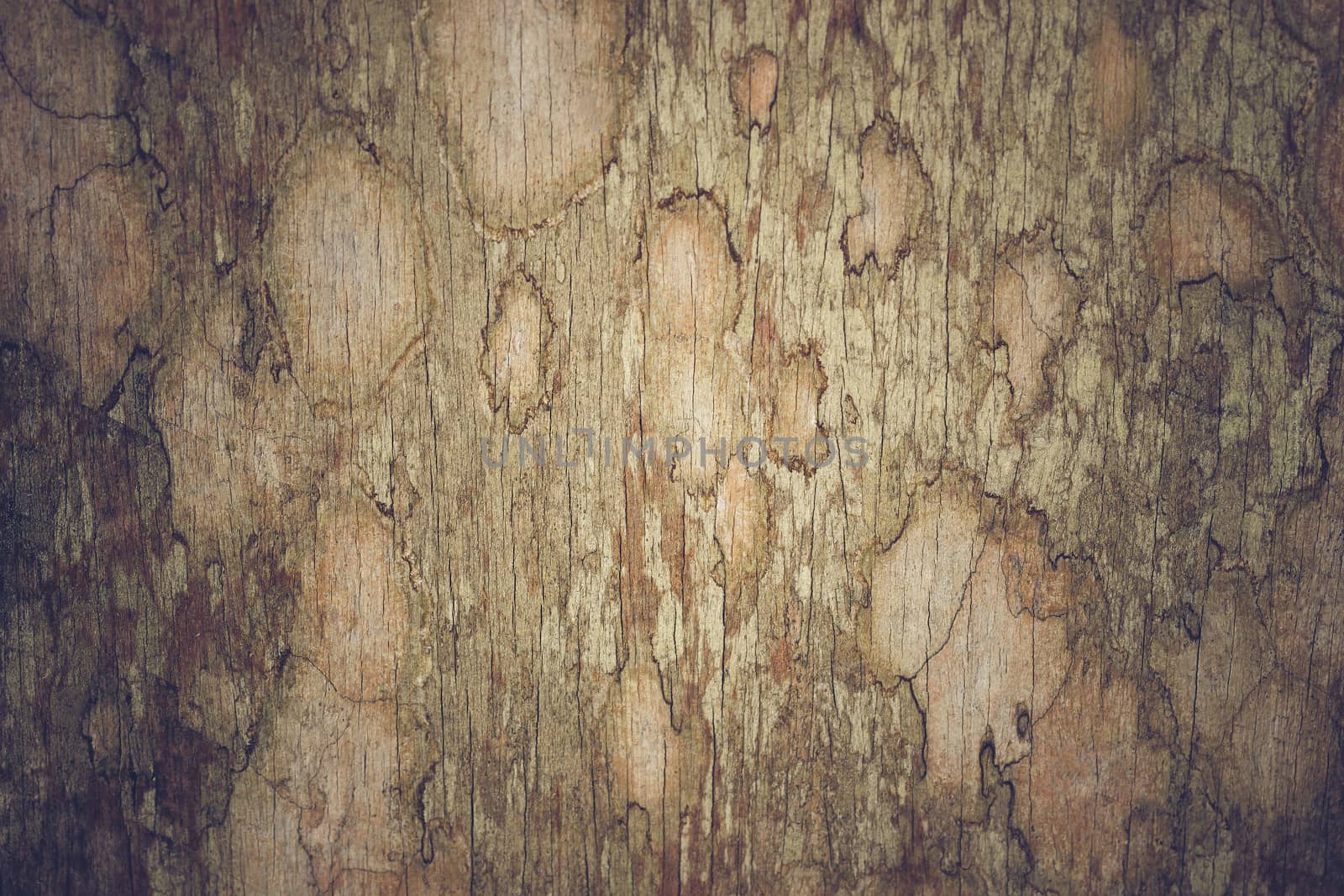 Texture of old brown wood. Suitable for making backgrounds, natu by SaitanSainam