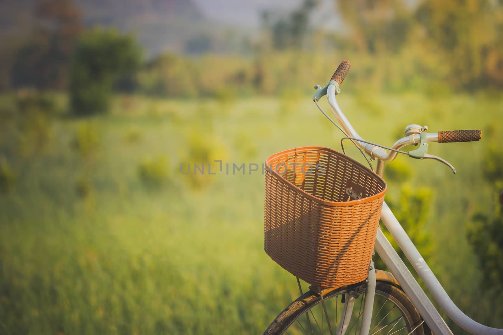 Bicycle parked on the way to the morning sunlight. And organic v by SaitanSainam