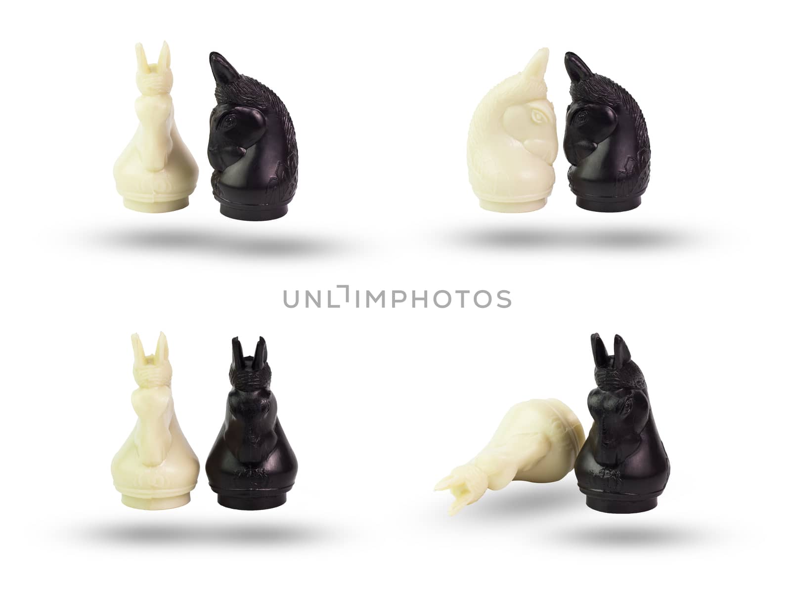 Set of black and white knight in the chess on isolate background with clipping path.