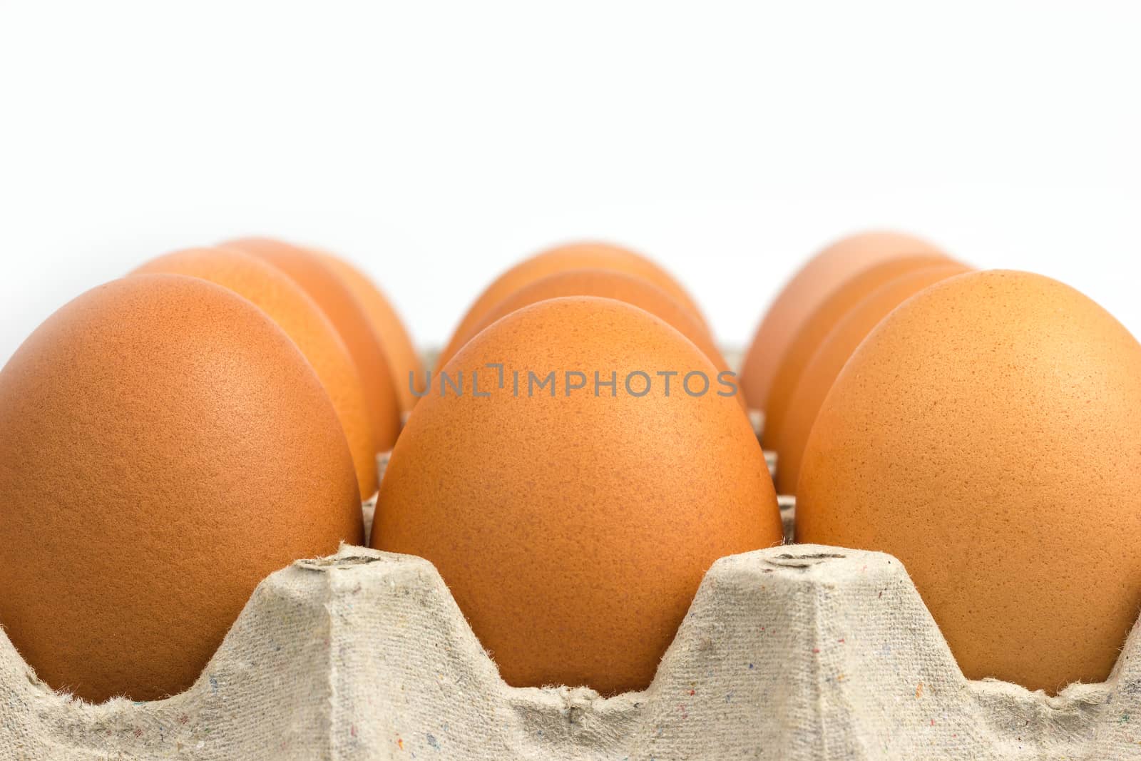 Closeup egg in paper panel on white background. by SaitanSainam