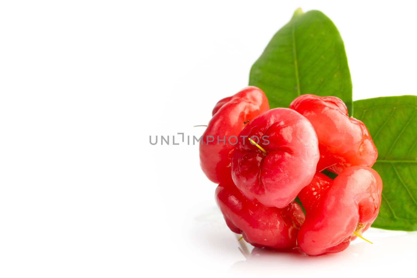 Closeup fresh rose apple with water droplet and leaves on white background.