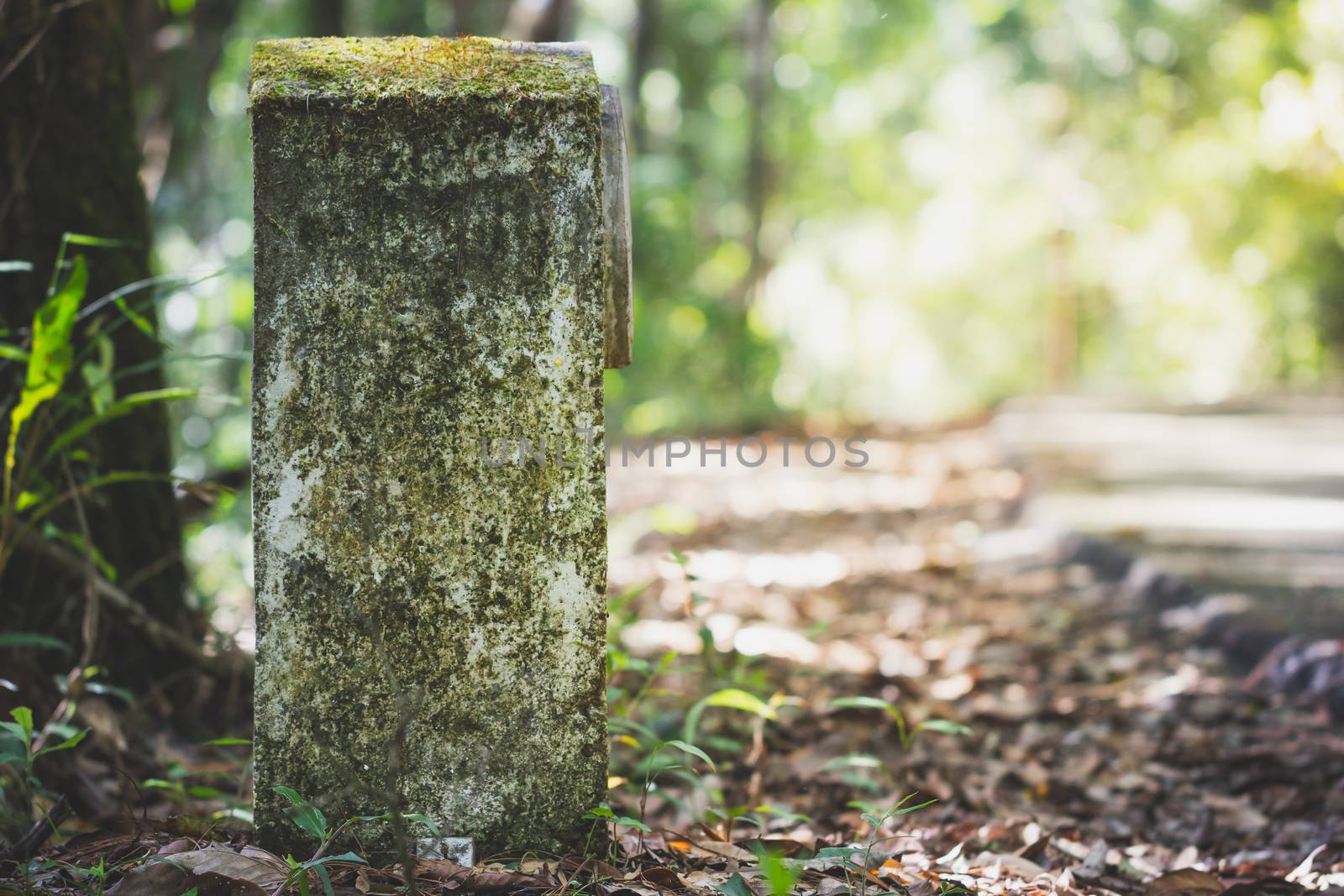 The old kilometres marker is made of cement by the road in the forest. The concept of tourism travel.