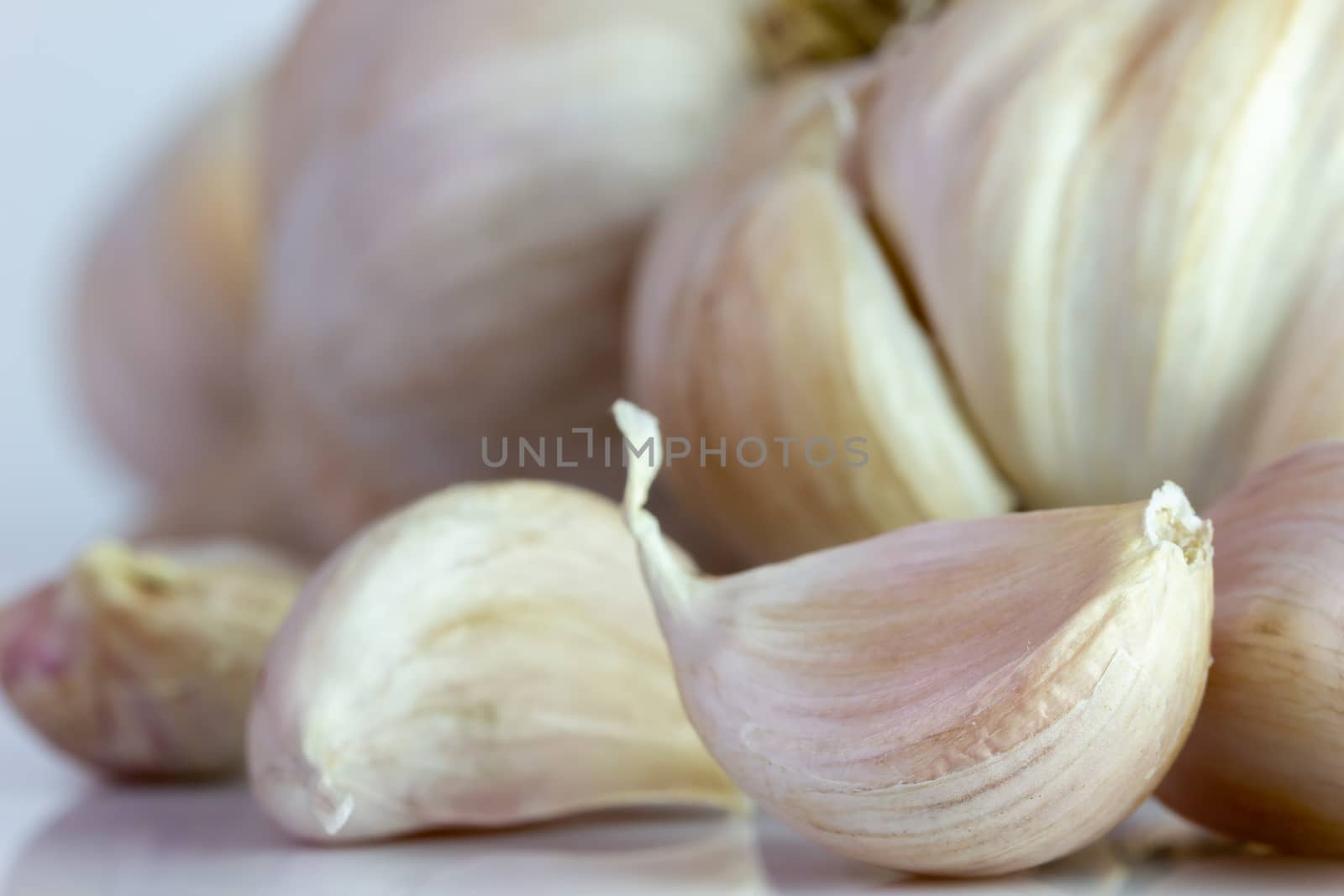Closeup garlic on white background. Ingredients for cooking.