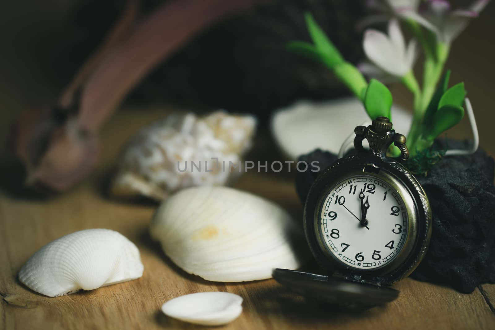 Vintage pocket watch and shell on wood background. The clock is near midnight. The concept of Happy New Year or resumption.