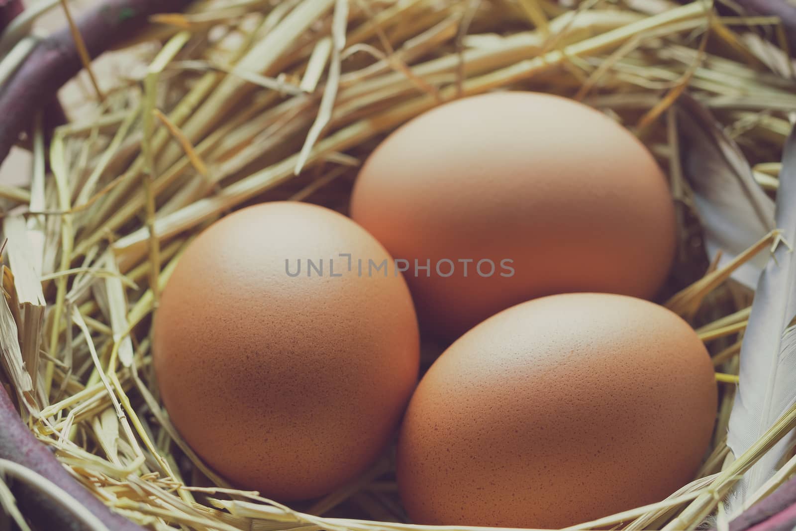 Three eggs with chicken feathers in the ovary and morning light. by SaitanSainam