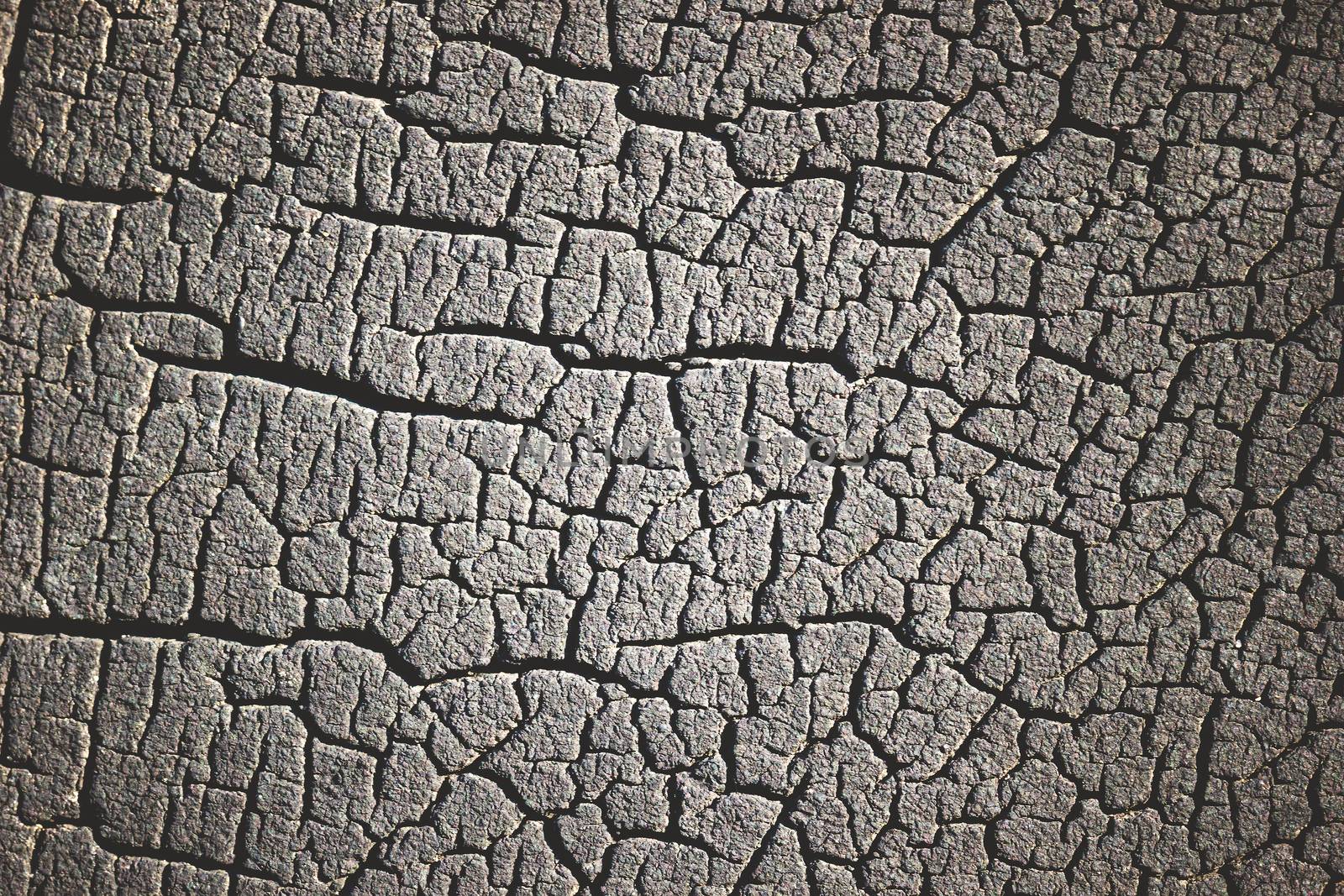 Texture of of tire cracks. Suitable for use as background articl by SaitanSainam