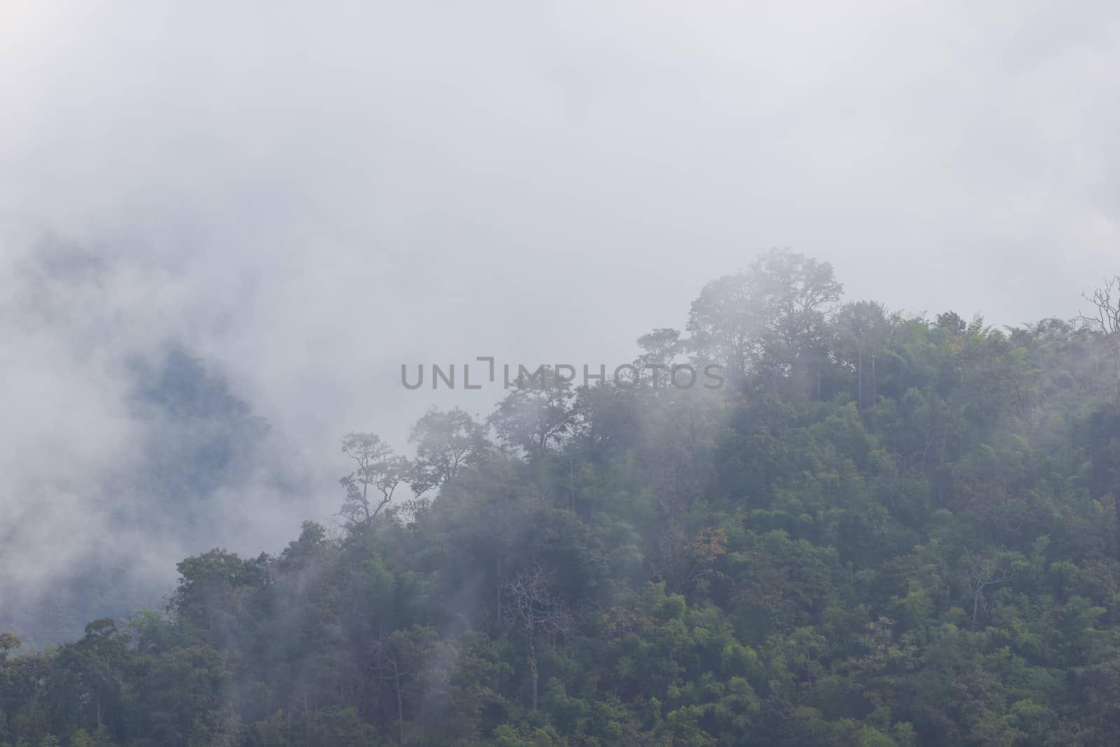 The fog moves along the mountains in the morning winter season. by SaitanSainam