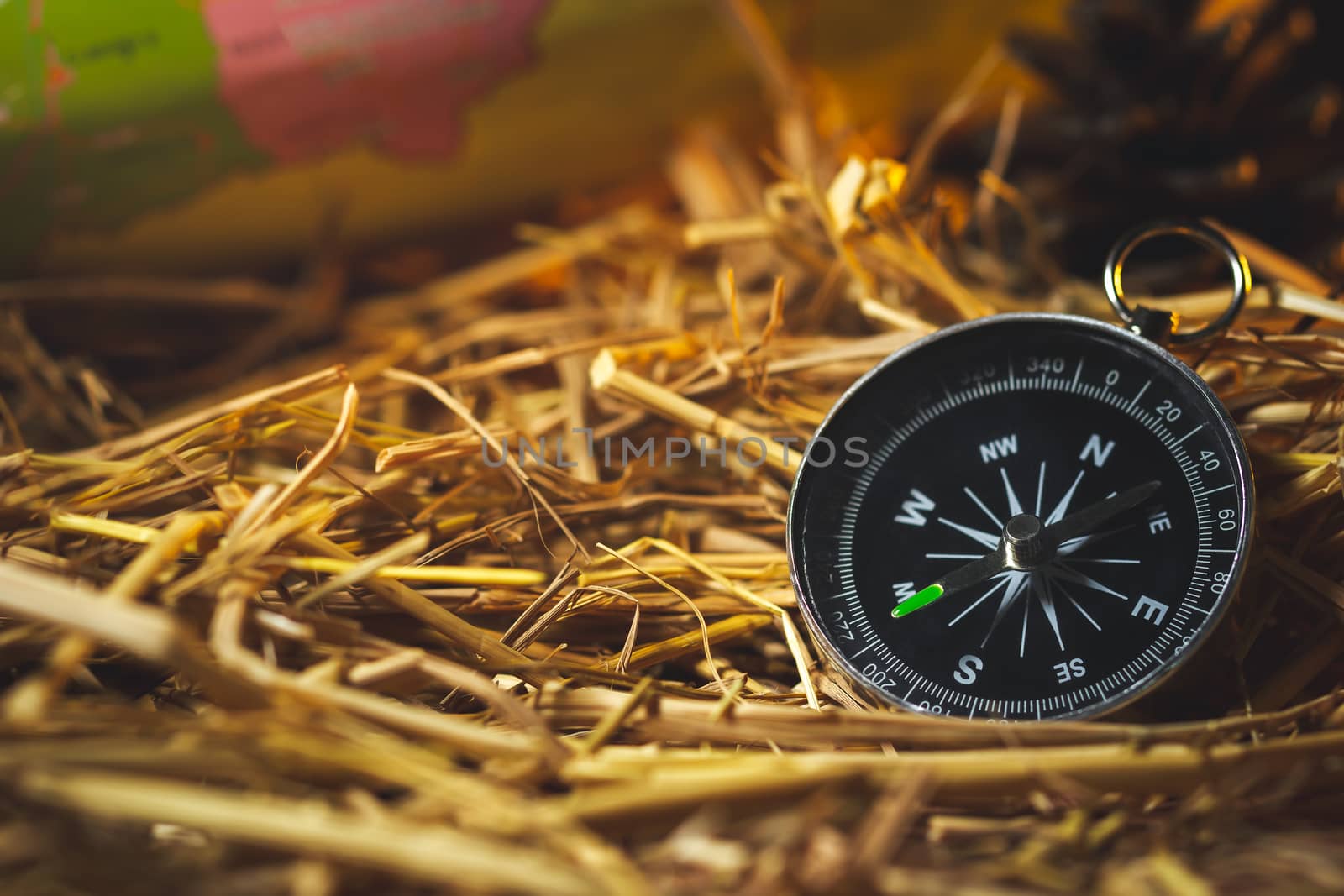 Compass with paper maps and pine flowers placed on dry wheat straw in morning sunlight. Concept of adventure tourism or survival in the forest.