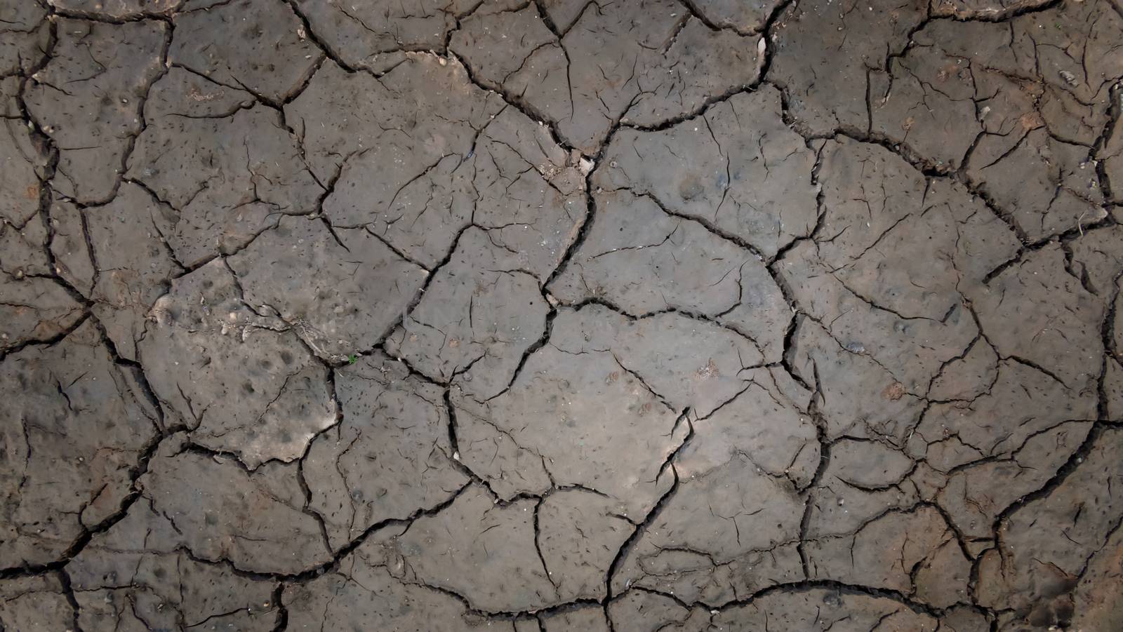 Texture of grunge dry cracking parched earth , Global warming effect