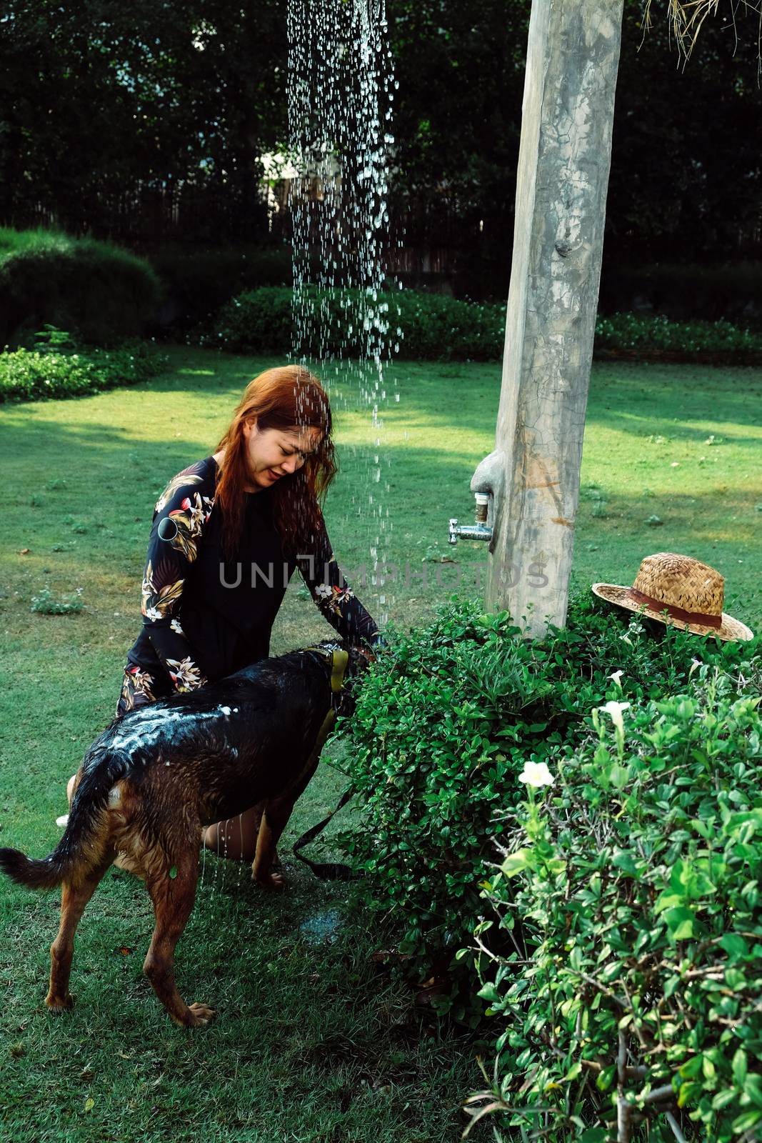 Asian woman washing her pet dog by ponsulak