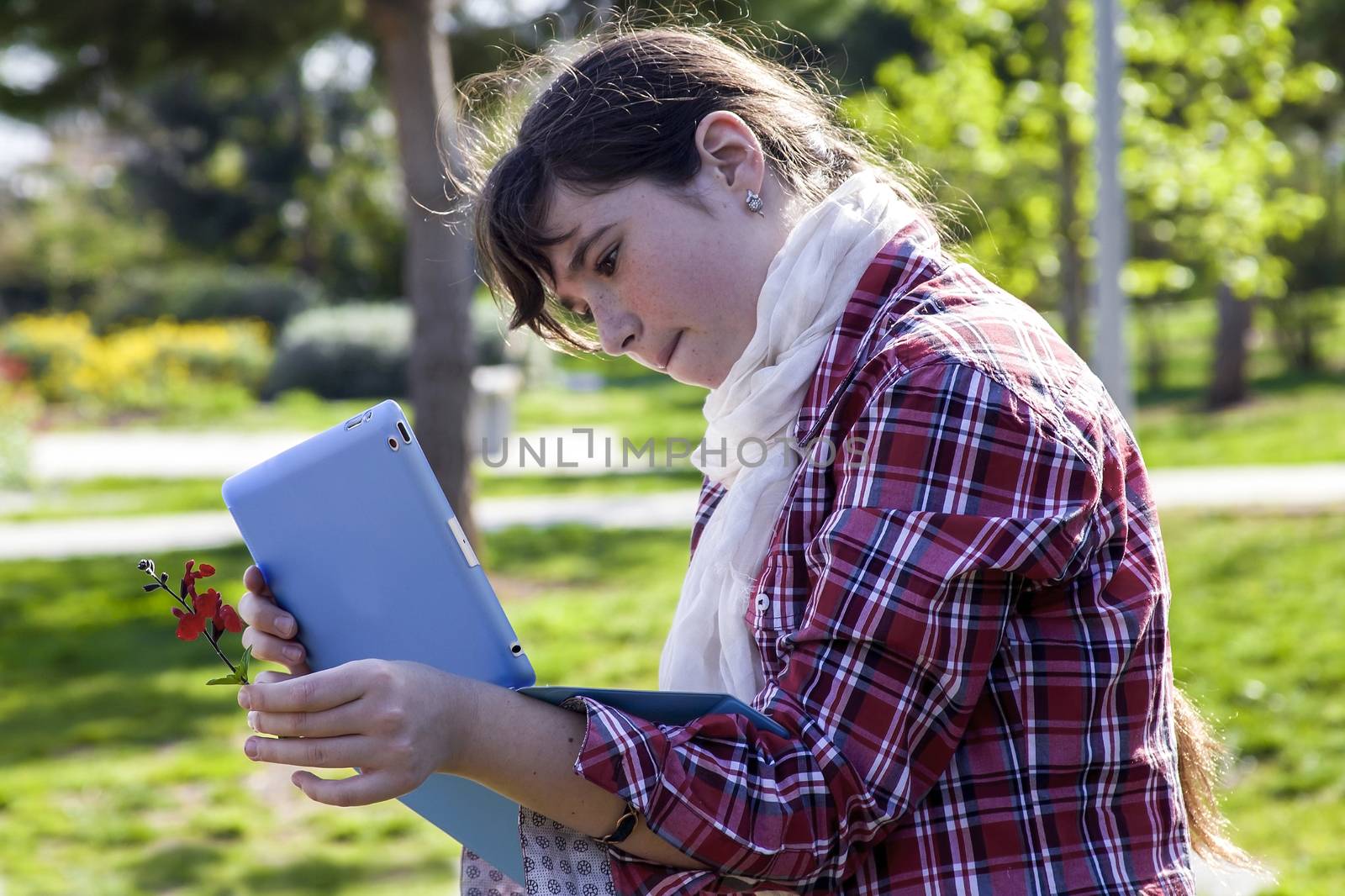 Casual teenage girl in plaid shirt and scarf using tablet and taking picture of small spring flower in sunlight