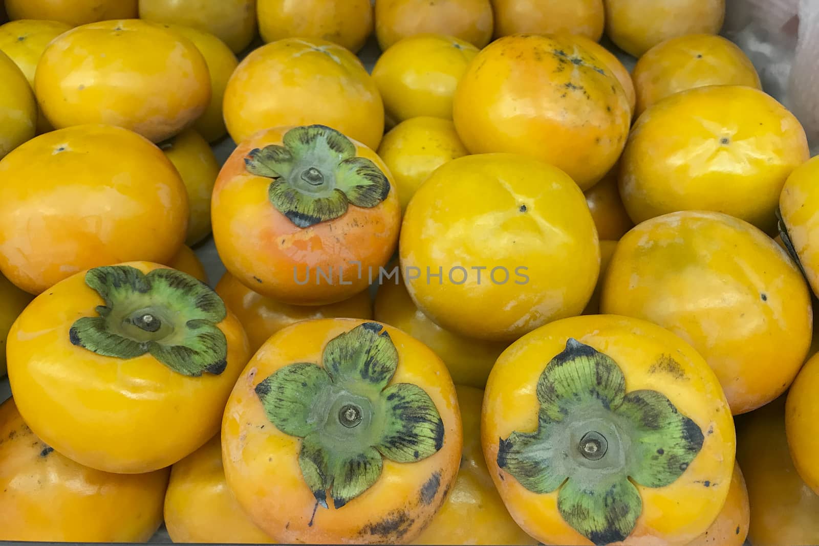 Many persimmon fruits and delicious