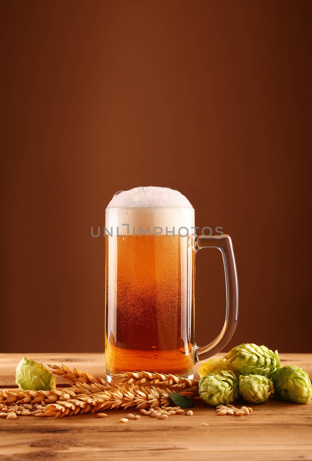 Close up one glass mug of beer with froth and bubbles, green hops and barley grain and spikes on wooden table over dark brown background with copy space, low angle side view