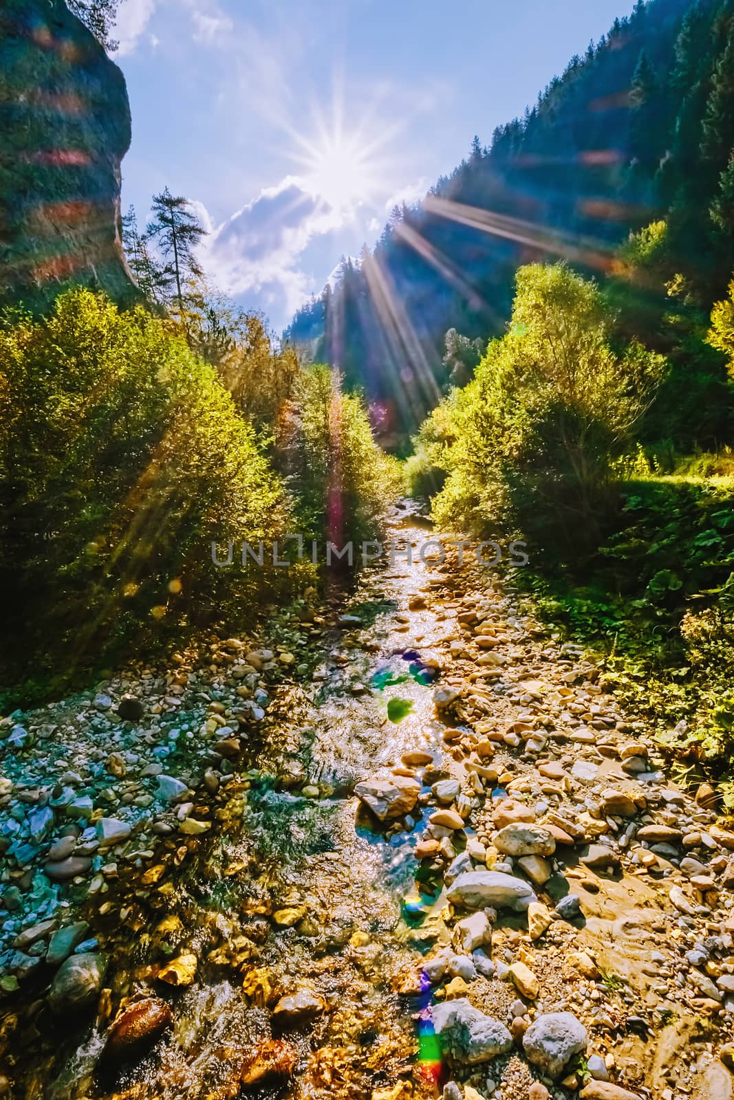 The Devin River Valley in the Western Rhodopes